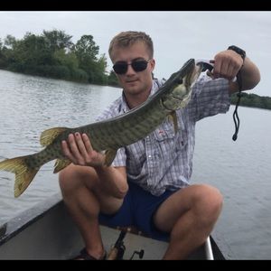 Meet your Posher, William